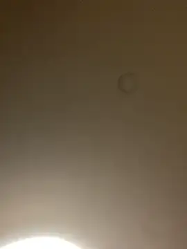 Blackpussyxx  live sex cam
