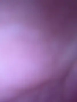 Bibette_bibou  live sex cam