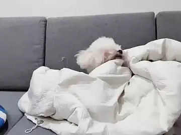 Moon_sexy69  live sex cam