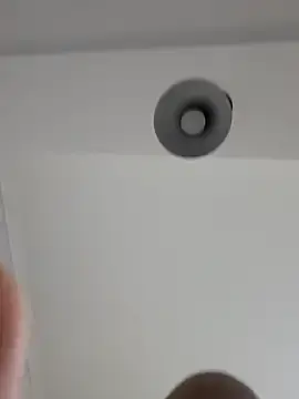 Casalgym26  live sex cam