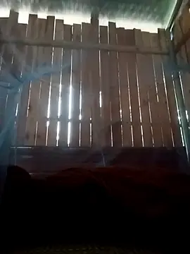 Sake-9x  live sex cam