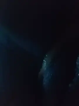 Sereiaametista  live sex cam