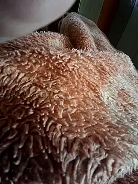 Annyloira  live sex cam