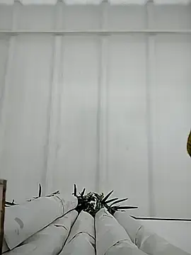 Amaya-gil  live sex cam