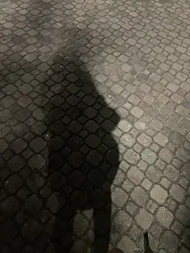 Flavia337  live sex cam