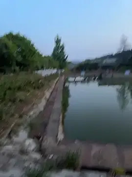 Yj2026  live sex cam