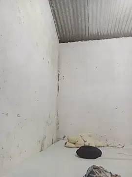 Saley23  live sex cam