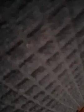 BettyandEarl  live sex cam