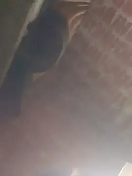Sonaday12  live sex cam