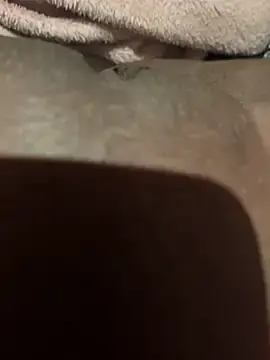 Babeer  live sex cam