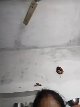 Hot_rie9  live sex cam