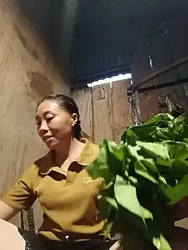 Jinli_01  live sex cam