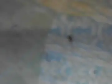 Eppkswingcouple69  live sex cam