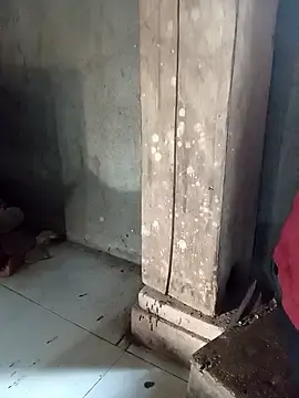 Daisyy-xxx  live sex cam