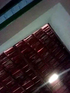 Gfoliveira  live sex cam