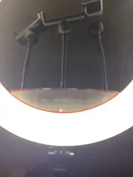 Sexy_barb2  live sex cam