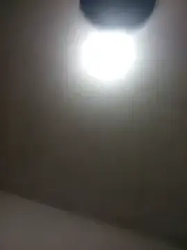 Wbrankinha  live sex cam