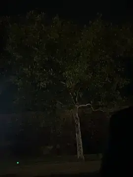 Extrepal  live sex cam