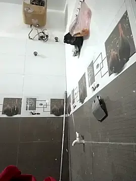 Thikshow2k  live sex cam