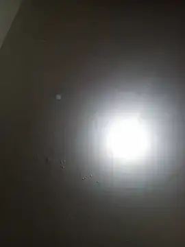 Stacy003  live sex cam