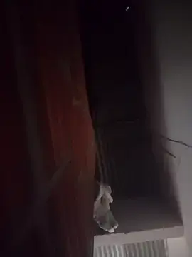 Scarletmouse  live sex cam