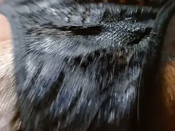 Bethanywilson_23  live sex cam