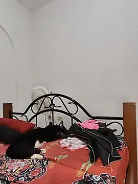 NARNYALABELLA  live sex cam