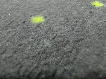 AishaRouhi  live sex cam