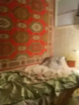 Badfox5000  live sex cam