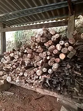 Cat-kat  live sex cam