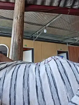 Anna_sexy1_  live sex cam