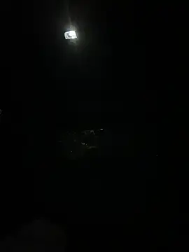 BlackOwnedAsianQOS  live sex cam