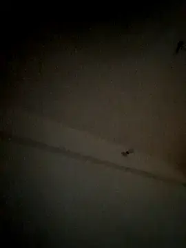 Sana-1515  live sex cam