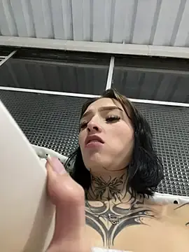 Dulce-katt  live sex cam