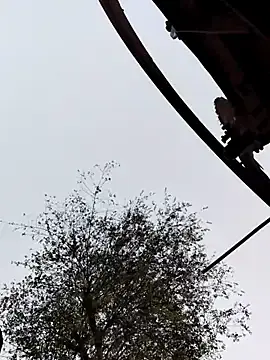 Payaljat  live sex cam