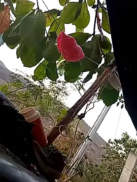 Sheresadaking  live sex cam