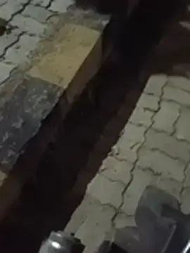 Raajalka  live sex cam