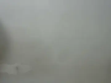 Bahitwife33  live sex cam