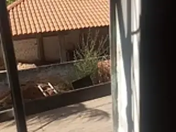 ___-_-_bucetuda__2026  live sex cam