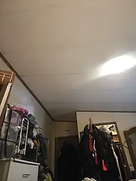 Nicenipples76  live sex cam