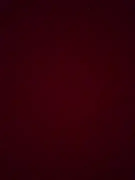 Pinkflag  live sex cam