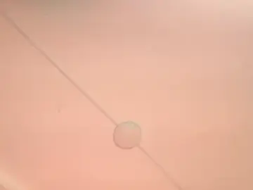 Ladymooncs  live sex cam