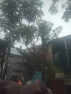 Surreyaa  live sex cam