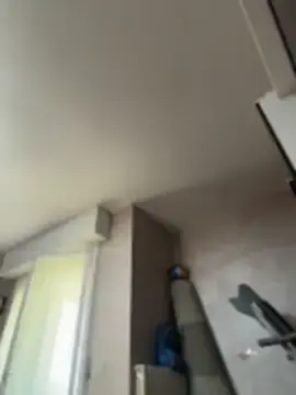 DaisyVibesss  live sex cam