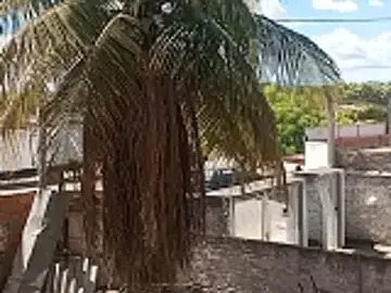 _-_-_-bucetuda_-_-_-  live sex cam