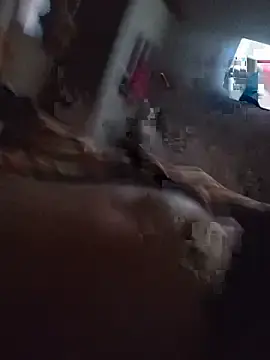 Casalnovorj  live sex cam