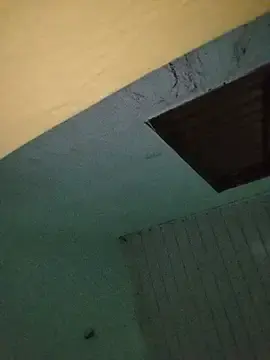 Morena3014  live sex cam