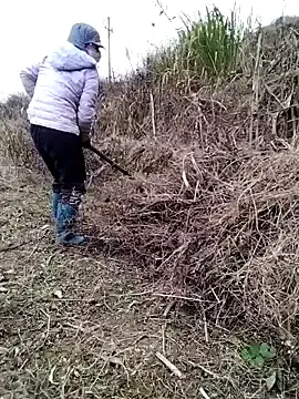 Galaxy898  live sex cam