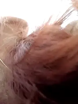 Rumchin_22  live sex cam