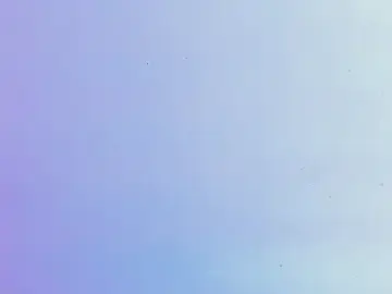 Michel_fitnes  live sex cam